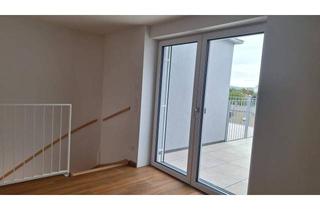 Wohnung mieten in Baumergasse, 1210 Wien, DG-Wohnung 51 m² mit Terrasse Neubau Erstbezug