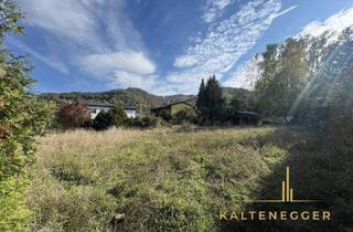 Grundstück zu kaufen in 3422 Altenberg, 1.045 m² großer Baugrund – 3422 Altenberg, Badesiedlung