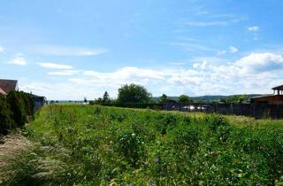 Grundstück zu kaufen in 7083 Purbach am Neusiedler See, NÄHE HISTORISCHES KELLERVIERTEL