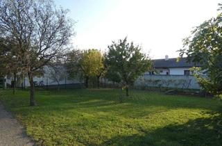 Grundstück zu kaufen in 7122 Gols, WOHNEN AM RANDE SCHÖNER NATUR