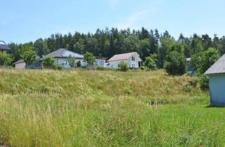 Grundstück zu kaufen in Etzen, 3920 Groß Gerungs, Siedlung in Etzen - Baugrund Parzellen Nr. 1075/3