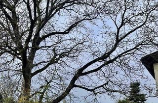 Grundstück zu kaufen in 4040 Linz, Sonniges Grundstück!