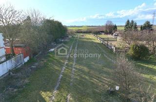 Grundstück zu kaufen in 2434 Pischelsdorf, Großes Grundstück in Pischelsdorf zu verkaufen!