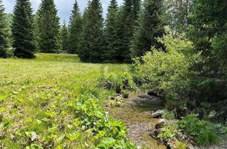 Grundstück zu kaufen in 9346 Glödnitz, FERN VON DER HEKTIK AUF DER FLATTNITZ