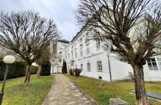 Garagen mieten in 4600 Thalheim bei Wels, KFZ-Überdachter-Abstellplatz Schloss Traunegg T06