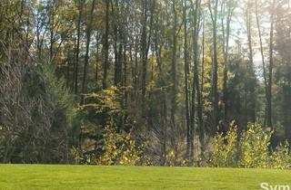 Grundstück zu kaufen in 8144 Lieboch, SONNIGER BAUGRUND! Sackgassenlage am Waldrand!