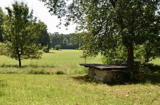 Grundstück zu kaufen in 4963 Sankt Peter am Hart, Projektgrundstück mit über 4.000 m2: Natur, Freizeit & Neubauoptionen