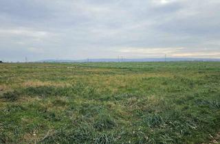 Grundstück zu kaufen in 2433 Margarethen am Moos, Grundstück in 2433 Margarethen am Moos - Lage Ortsrand !