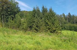 Grundstück zu kaufen in 3153 Rotheau, Bezirk Lilienfeld - Grundstück in 3153 Rotheau - Ruhelage mit Aussicht !