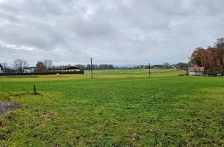 Grundstück zu kaufen in 5120 Sankt Pantaleon, Baugrund