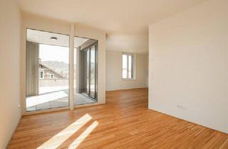 Wohnung mieten in 6890 Lustenau, Tolle 2-Zimmer-Penthousewohnung über den Dächern von Lustenau