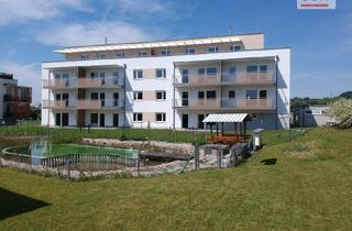 Wohnung mieten in Fritz Potzmader- Gasse, 3252 Petzenkirchen, 3-Zimmer Wohnung mit Miete-Kaufoption u. Schwimmteich/Balkon in Petzenkirchen (provisionsfrei)