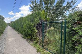 Grundstück zu kaufen in Thayagasse, 1210 Wien, 1210 Sonniges Grundstück! EIGENGRUND in schöner Kleingartenanlage!