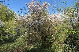 Grundstück zu kaufen in Eselstiege, 1170 Wien, 1170 / Idyllisches GRUNDSTÜCK (KLG) Eselstiege