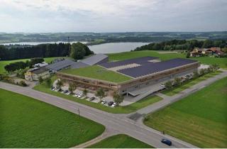 Büro zu mieten in Köstendorfer Landesstraße, 5163 Mattsee, Vermieten Produktionsflächen im GewerbePark Salzburger Seenregion