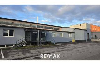 Büro zu mieten in Stelzhammerstraße 6a, 4053 Haid, Vielseitig nutzbare Gewerbeimmobilie mit einer Kombination aus Büro- und Lagerflächen