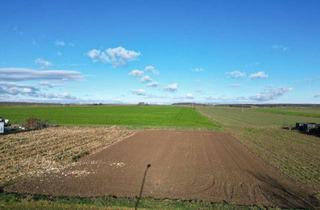 Grundstück zu kaufen in 7361 Lutzmannsburg, +++ Baugrundstück in bester Lage bei der Therme Lutzmannburg +++
