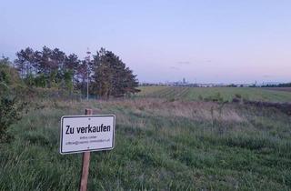 Grundstück zu kaufen in Ackerweg, 1210 Wien, 2.554 m² Ackerfläche zu Verkaufen| Stammersdorf