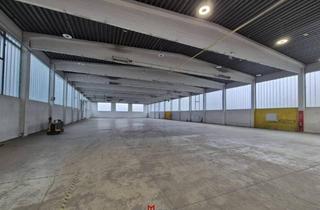 Büro zu mieten in Gradnerstraße, 8054 Graz, Hallenfläche im Gewerbepark Graz-Straßgang