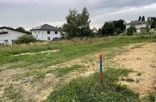 Grundstück zu kaufen in 8241 Dechantskirchen, Baugrund in sonniger ruhiger Ortsrandlage