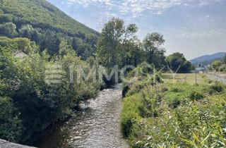 Grundstück zu kaufen in 2754 Waldegg, Grundstück mit Altbestand!