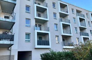 Wohnung mieten in Dr. Wilhelm Steingötter-Straße 25, 3100 Sankt Pölten, Erstbezug! Neue erstklassige 2-Zimmer Wohnung mit Loggia