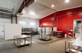 Gewerbeimmobilie kaufen in 4052 Ansfelden, Multifunktionales Gewerbeobjekt im OÖ-Zentralraum – nahe Haid Center & A1 (staufrei)