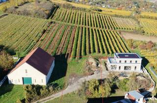 Grundstück zu kaufen in 2102 Hagenbrunn, Wohntraum in den Weinbergen