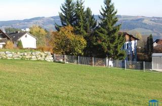 Grundstück zu kaufen in 2840 Grimmenstein, Baugrund in Hochegg / Grimmenstein