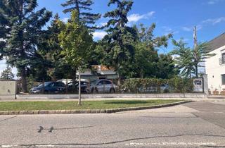 in Schwechat 46, 2320 Schwechat, Autoplatz mit Büro (Autohandel) Provisionsfrei ! Schwechat 2320