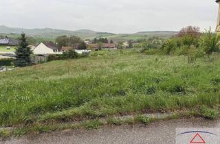 Grundstück zu kaufen in 2161 Poysbrunn, Schöner Baugrund in bester Lage!