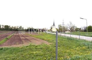 Haus kaufen in Klederinger Straße, 1100 Wien, TOP-CHANCE! Ihr REIHENAHAUS! Klederingerstraße!