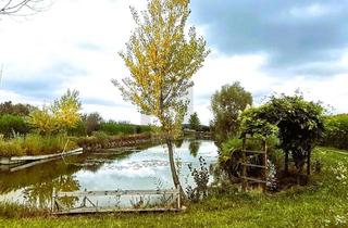 Grundstück zu kaufen in 7064 Oslip, ENTSPANNUNG PUR - FISCHTEICH MIT HÜTTE UND STREUOBSTWIESE