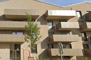 Wohnung mieten in Reininghauspark, 8020 Graz, *2-Zimmer mit Balkon im schönen Reininghauspark - Brauhausstraße 49*