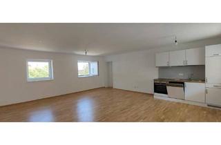 Wohnung mieten in 4470 Enns, Moderne 3- Zimmer Mietwohnung in Enns