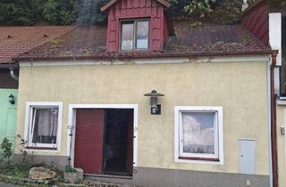 Lager kaufen in Vorberg Kellergasse, 3133 Traismauer, Weinkeller in Traismauer TOP Lage