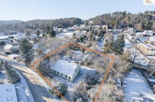 Grundstück zu kaufen in 2823 Pitten, Großzügiges Baugrundstück - alles hat Platz, Traumhaus, Garage und Pool !