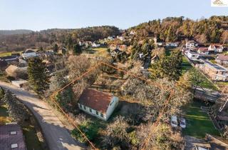 Grundstück zu kaufen in 2823 Pitten, Großzügiges Baugrundstück - alles hat Platz, Traumhaus, Garage und Pool !