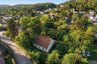 Grundstück zu kaufen in 2823 Pitten, Großzügiges Baugrundstück - alles hat Platz, Traumhaus, Garage und Pool !
