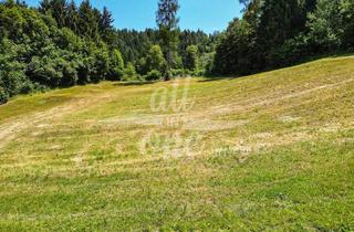 Grundstück zu kaufen in 9062 Moosburg, Sonniges Baugrundstück in Moosburg - Ruhige Lage am Waldrand (Nr.2)