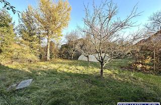 Grundstück zu kaufen in Hauptstraße, 4611 Buchkirchen, Großzügiges Grundstück mit Altbestand im Zentrum von Buchkirchen