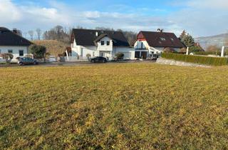 Grundstück zu kaufen in Tulpenweg, 4209 Engerwitzberg, sonniges Grundstück in Top Lage von Engerwitzdorf