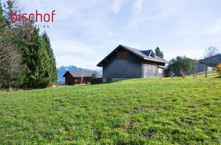 Grundstück zu kaufen in 6867 Schwarzenberg, Schönes Grundstück mit Ferienwohnsitzwidmung zu verkaufen