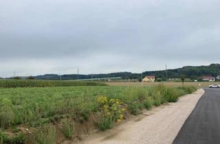 Grundstück zu kaufen in Am Brunnenfeld, 3250 Wieselburg, Baugrundstück mit vielseitigem Potential in Wieselburg