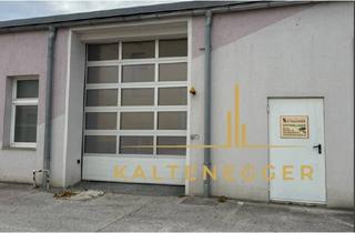 Immobilie mieten in 2620 Neunkirchen, Lagerhalle mit WC´s, Dusche und Küche