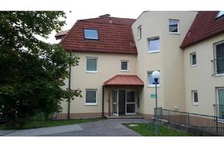 Wohnung mieten in Grestner Str. 26/5/9, 3250 Wieselburg, 2-Zimmer Wohnung in Miete | ca. 54 m² | Dachgeschoss | Loggia