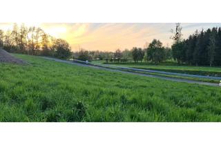 Grundstück zu kaufen in Quellengrund 50, 4982 Obernberg am Inn, Traumhaftes Grundstück Obernberg