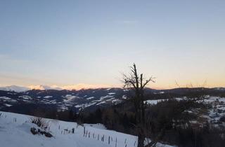 Grundstück zu kaufen in 8832 Oberwölz (Stadt), Idyllischer Berghof in bester Lage im Murtal