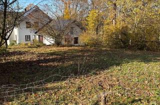 Grundstück zu kaufen in 4786 Brunnenthal, Attraktives Baugrundstück ohne Bauzwang in Brunnenthal