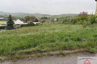 Grundstück zu kaufen in 2161 Poysbrunn, Schöner Baugrund in bester Lage!